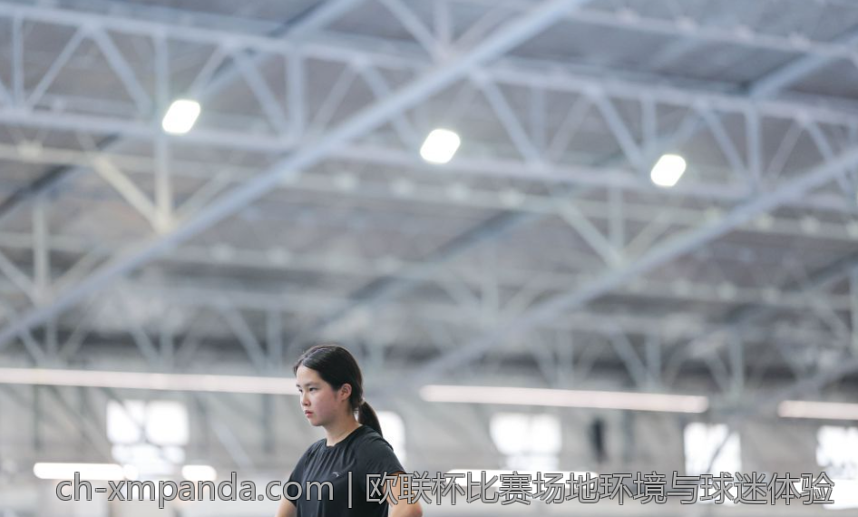 欧联杯比赛场地环境与球迷体验