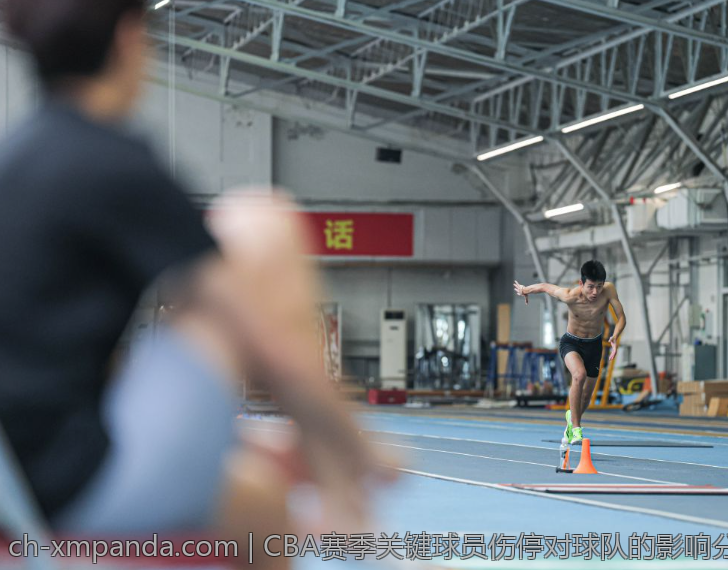 CBA赛季关键球员伤停对球队的影响分析