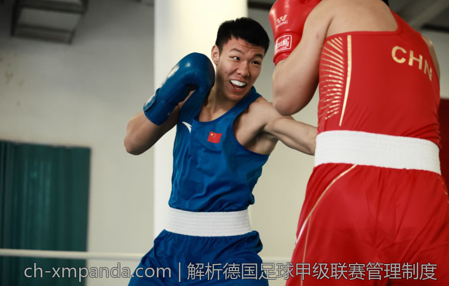 欧冠赛事中裁判判罚争议影响解析