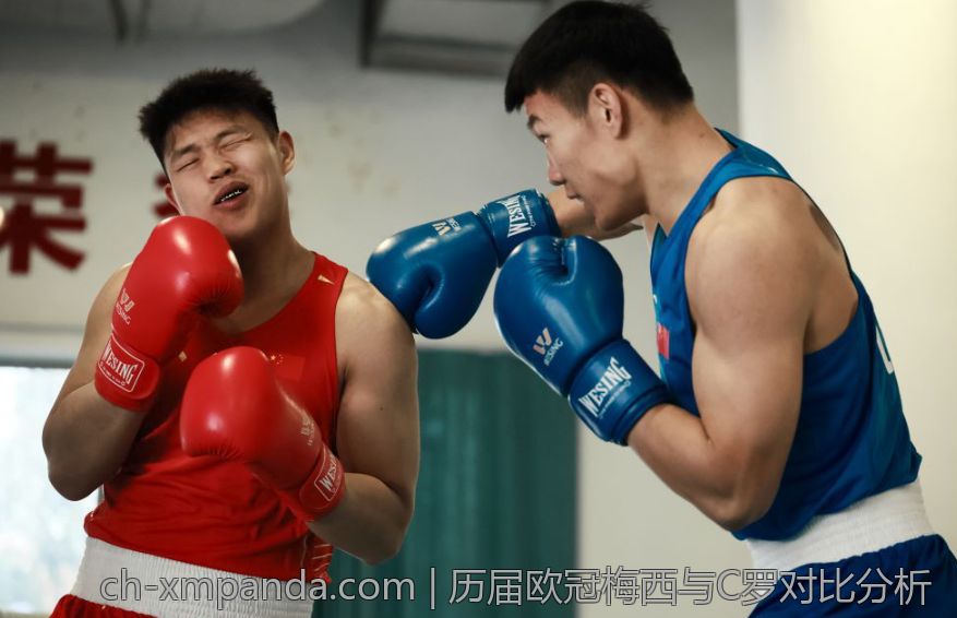 历届欧冠梅西与C罗对比分析